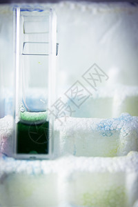 在实验室进行共生试验的试验管19白色科学化学玻璃架子测试物质样本生物绿色图片