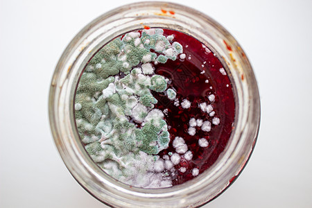 在一罐果酱中模具 危害健康 模具危险团体菌类佳肴美味病菌腐烂假根玻璃细菌图片