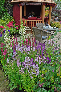 水花花园旁的花朵边框颜色图片
