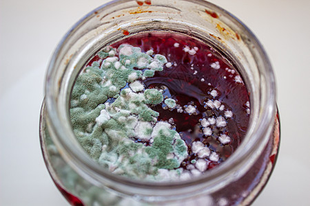 在一罐果酱中模具 危害健康 模具腐烂菌类食品假根团体危险产品细菌病菌植物图片