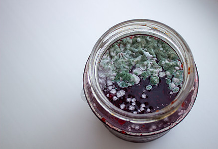 在一罐果酱中模具 危害健康 模具团体疾病腐烂佳肴危险宏观植物病菌细菌产品图片