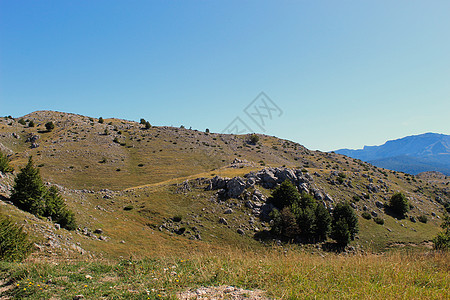 山区山丘 喀斯特山丘 草地和树木 波斯尼亚和黑塞哥维那Bjelasnica山图片