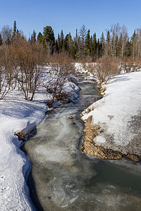 冬天在森林里冻结的河流水景旅行蓝色天气场景森林溪流天空温度太阳图片