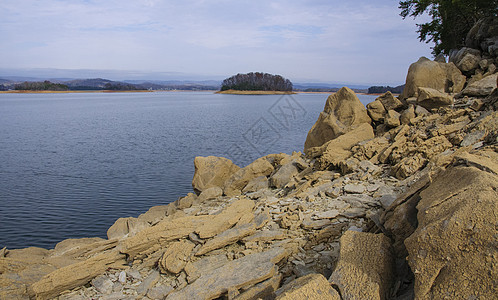 田纳西州的森林湖岸 美国海岸的平面石块层状植物群荒野旅行植被树木森林地质学石灰石风景图片