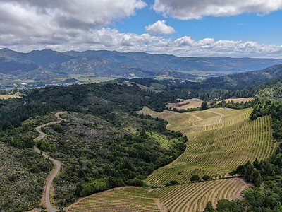 纳帕河谷葡萄园景观的空中视图酒厂农业季节酒精农场国家旅行爬坡山脉太阳图片