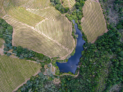纳帕河谷葡萄园地貌的空中顶层景观游客植物天空旅游农业农村酒厂葡萄园太阳农场图片