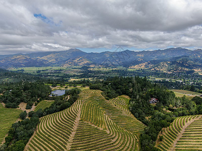 纳帕河谷葡萄园景观的空中视图葡萄园游客丘陵酒厂酒精农村国家旅游爬坡栽培图片