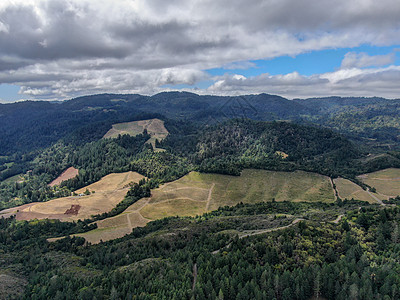 纳帕河谷葡萄园景观的空中视图酒厂游客丘陵天空葡萄园旅游季节山脉栽培旅行图片