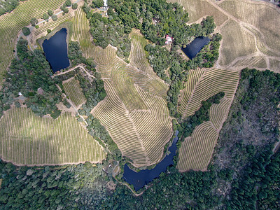 纳帕河谷葡萄园地貌的空中顶层景观植物酒厂葡萄园农村旅行农业丘陵场地旅游栽培图片