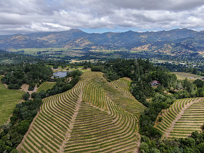 纳帕河谷葡萄园景观的空中视图场地农场国家农村酒厂丘陵远足山脉酒精农业图片