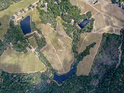 纳帕河谷葡萄园地貌的空中顶层景观葡萄园山脉丘陵农村农场植物场地远足酒精酒厂图片