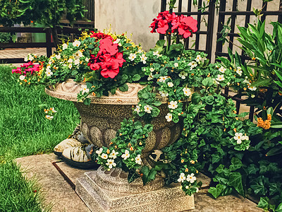 美丽的绿色花园 豪华后院花朵奢华植物群房子玫瑰木头植物树木小路石头公园图片