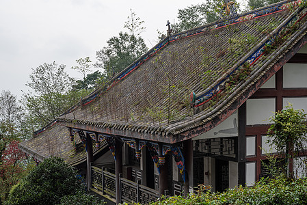 山上一座旧建筑屋顶上的植被生长 种植于山顶的植被图片