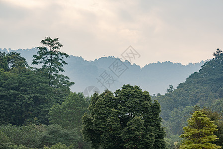 烟雾中的山地景观旅行远足观光场景荒野土地全景顶峰森林冒险图片