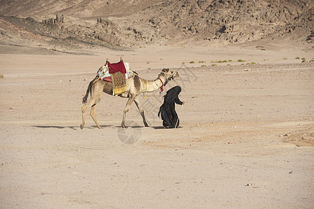 沙漠中带骆驼的老贝都因女人老太婆女性游牧民族脖子黑色干旱单峰气候岩石罩袍背景图片