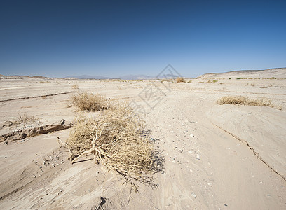 炎热气候下的巴伦沙漠景观沙漠地平线风景荒野环境植物干旱旅行天空蓝色图片