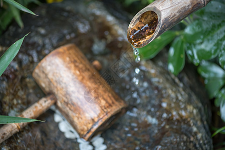天然木制水沟树喷泉泉水旅行森林公园流动来源木头花园荒野植物图片