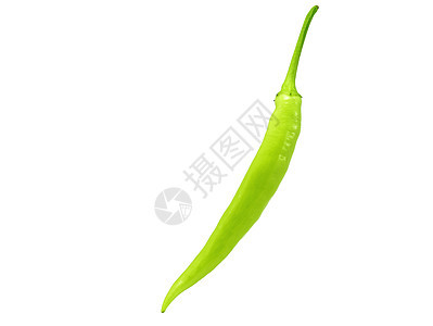 白色背景上隔离的绿胡椒 有剪切路径香料沙拉辣椒烹饪食物营养农场饮食蔬菜胡椒图片