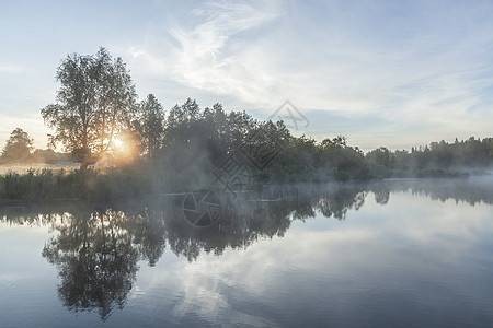 在雾中日出前的河流天空荒野木头薄雾森林镜子反射天气白色池塘图片
