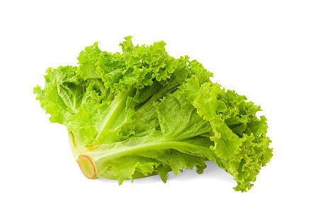 绿色冰山生菜沙拉叶蔬菜美食沙拉宏观叶子食物素食者小吃午餐营养图片