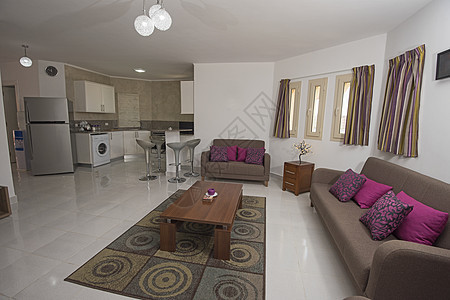 豪华公寓客厅室内设计设计冰箱橱柜门桌子小地毯奢华橱柜紫色沙发展示家具图片