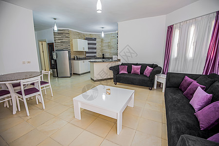 豪华公寓客厅室内设计设计茶几风格地面房间冰箱住宅软垫天花灯紫色椅子图片