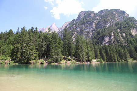 布赖人湖湖公园假期风景远足旅行高山顶峰森林树干实用程序图片