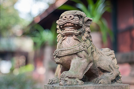 佛教寺庙中的狮子石雕像建筑学岩石宗教传统监护人雕塑警卫文化旅行历史图片