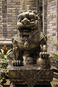中国晚上的狮子青铜雕像建筑宗教历史文化雕塑动物旅行旅游街道建筑学图片