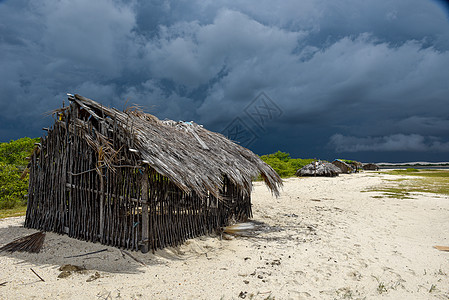 在巴西阿廷斯面前的爱岛海滩上闲逛旅行村庄雷雨小屋农村文化历史性稻草茅草异国图片