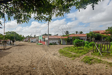 巴西阿廷斯附近Mandacaru村图片