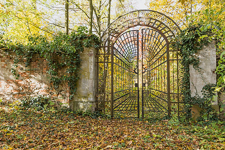 秋天公园的铁门被锁住了 横向花园金属树叶锁定建筑学石膏入口叶子网关爬行者图片