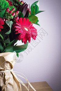 红花雏菊绿色花瓣粉色植物花束白色花朵图片