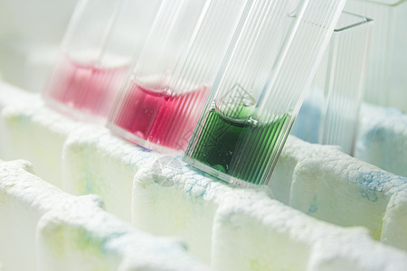 实验室中的试验管架子实验样本管子保健技术白色化学化学品液体图片