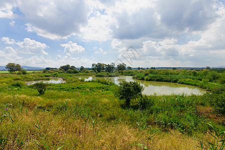 En Afek 湿地海法水池绿色反射天空旅行环境池塘电话蓝色图片