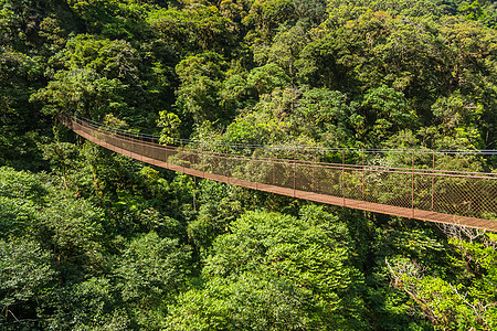 巴拿马绞架桥远足天空全景雨林丛林国王野生动物山脉旅行植物图片