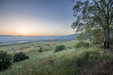 戈兰高地和胡拉谷的斜坡日落场地风景岩石阳光农村桉树旅行天空荒野场景图片