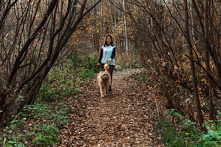 动物训练 一名志愿者女孩从动物收容所带着一只狗散步 在秋天的公园里带着狗的女孩 和狗一起散步 照顾动物跑步喜悦乐趣幸福小路友谊朋图片