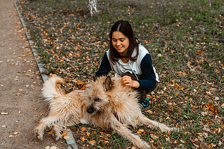 动物训练 一名志愿者女孩从动物收容所带着一只狗散步 在秋天的公园里带着狗的女孩 和狗一起散步 照顾动物猎犬女士朋友们小狗成人小路图片