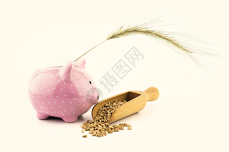农业银行小麦死胡同 有新鲜种子和金耳朵销售商业收成价格小猪粮食耳朵零售金子银行背景