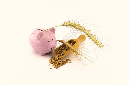 农业银行小麦死胡同 有新鲜种子和金耳朵玉米收获金子生长小猪农业生活银行市场价格背景