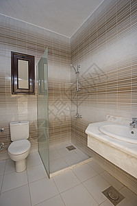 豪华表演家洗手间内部条纹设计棕色公寓淋浴家具装饰地面奢华风格图片