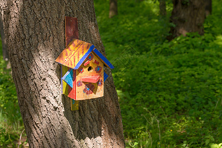 木林鸟栖息所刨花板树干季节森林小屋庇护所盒子木头避难所工艺图片
