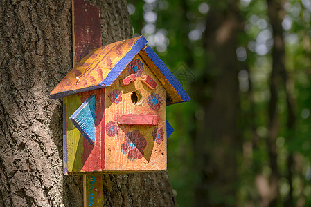 木林鸟栖息所森林避难所栖息地木头雏箱刨花板盒子房子鸟巢手工图片