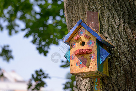木林鸟栖息所刨花板庇护所森林国家盒子手工雏箱树干季节房子图片