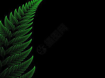 绿色分形背景插图植物叶子树叶蕨类图片