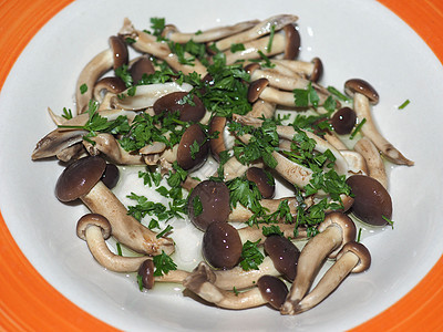 香草蘑菇 肉绒花生酱皮奥皮尼蘑菇食品营养饮食香菜圆筒天鹅绒美食食物图片