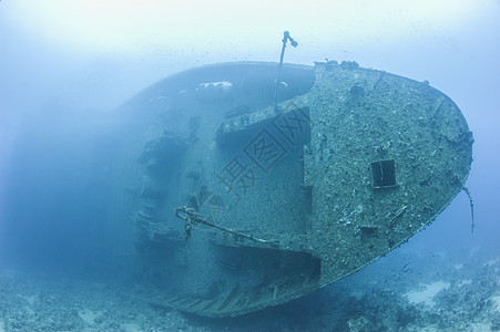 水下大沉船的弓血管娱乐甲板破坏探索海洋事故旅行蓝色潜水图片