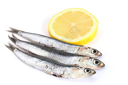 白色背景的凤尾鱼鲱鱼香菜钓鱼海鲜鱼片美食海鱼柠檬营养饮食图片