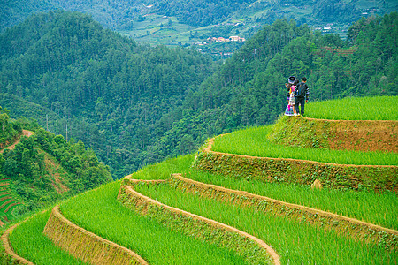 肖像山丘部落女孩 作为美丽的露台女神植物场地地球移植农民种植园相机阳光耀斑控制图片